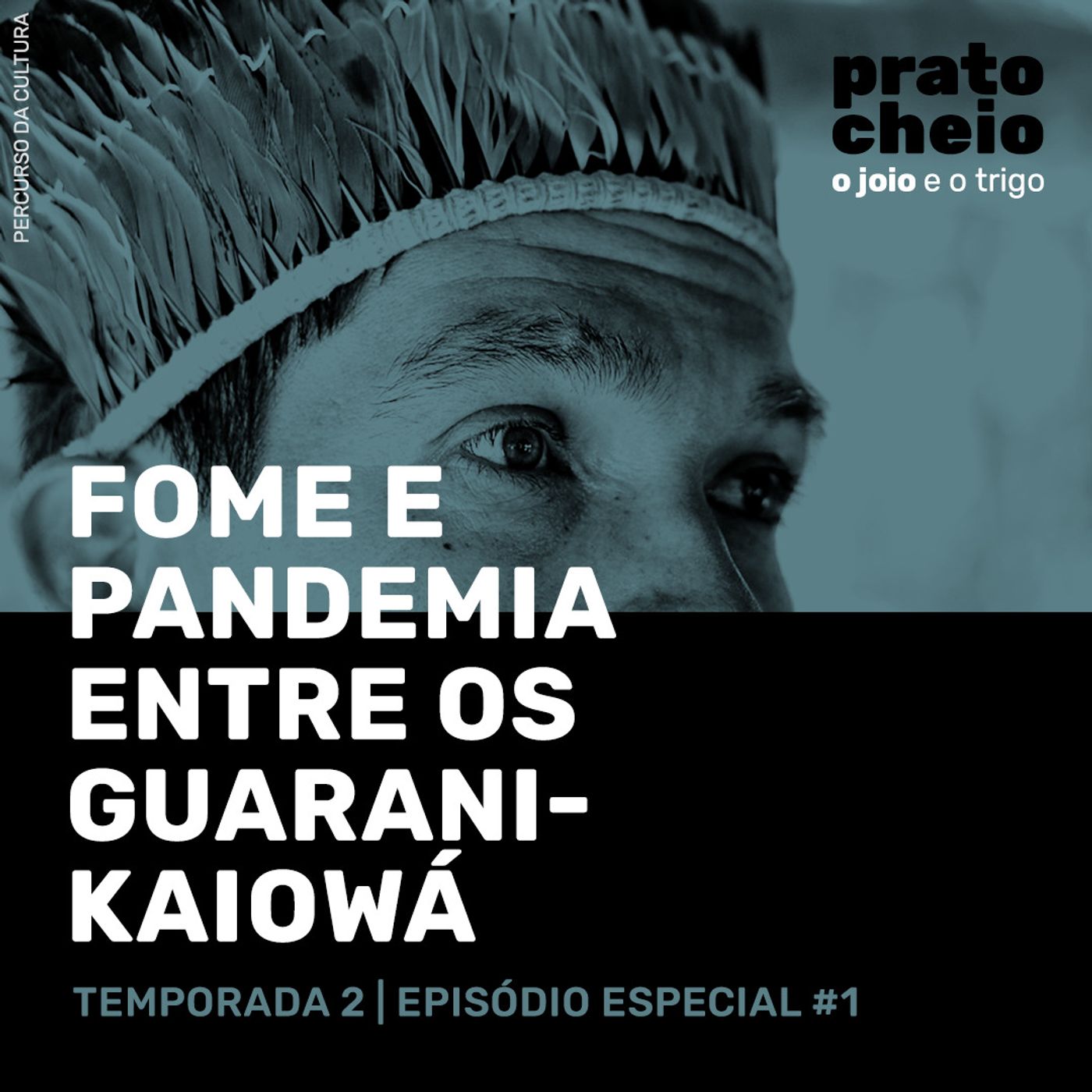 Fome e Pandemia entre os Guarani-Kaiowá