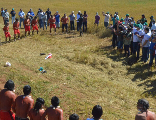 Incentivados pela Funai, projetos de monocultivos avançam sobre territórios indígenas no Mato Grosso e dividem Ministério Público
