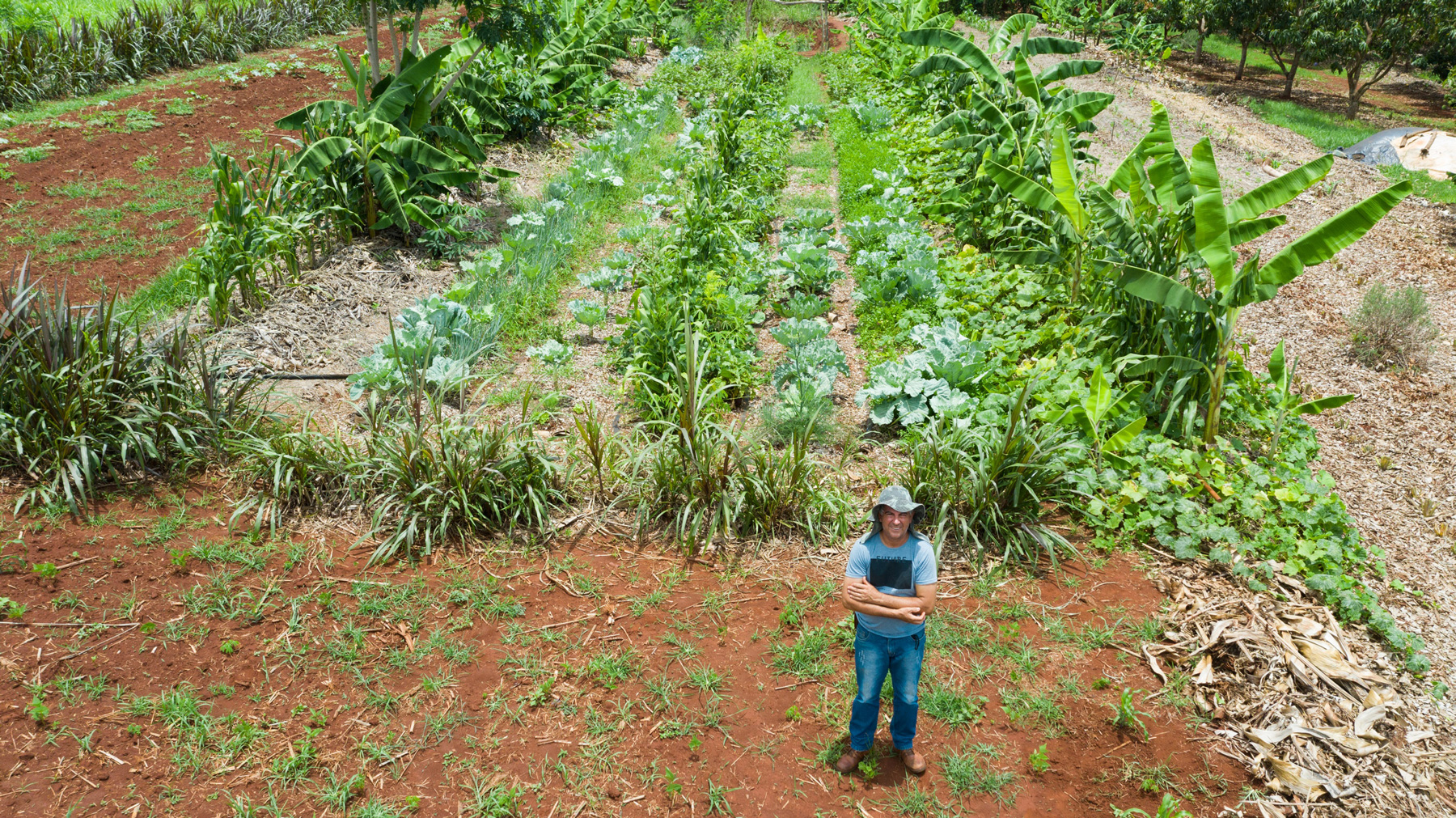 O agricultor Sérgio  Euleutério trocou o trabalho em uma rede de supermercados para plantar alimentos sem veneno. Foto: Joel Silva