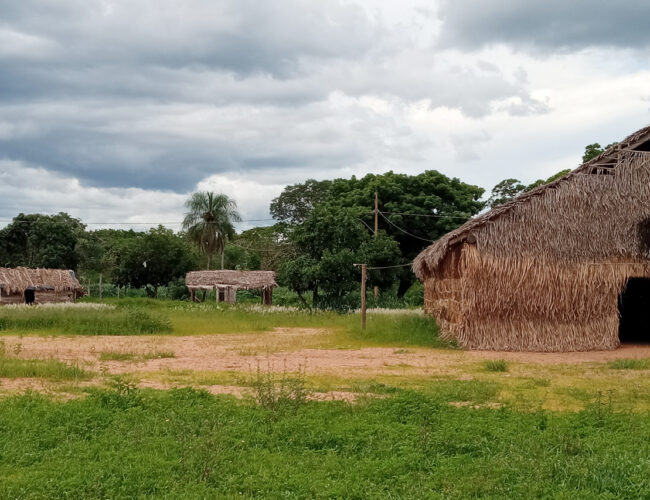 Com aval da Funai, ferrovia ameaça terras indígenas em Mato Grosso