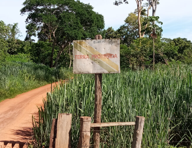 Direção do Ibama atropela área técnica em prol de ferrovia privada do agro