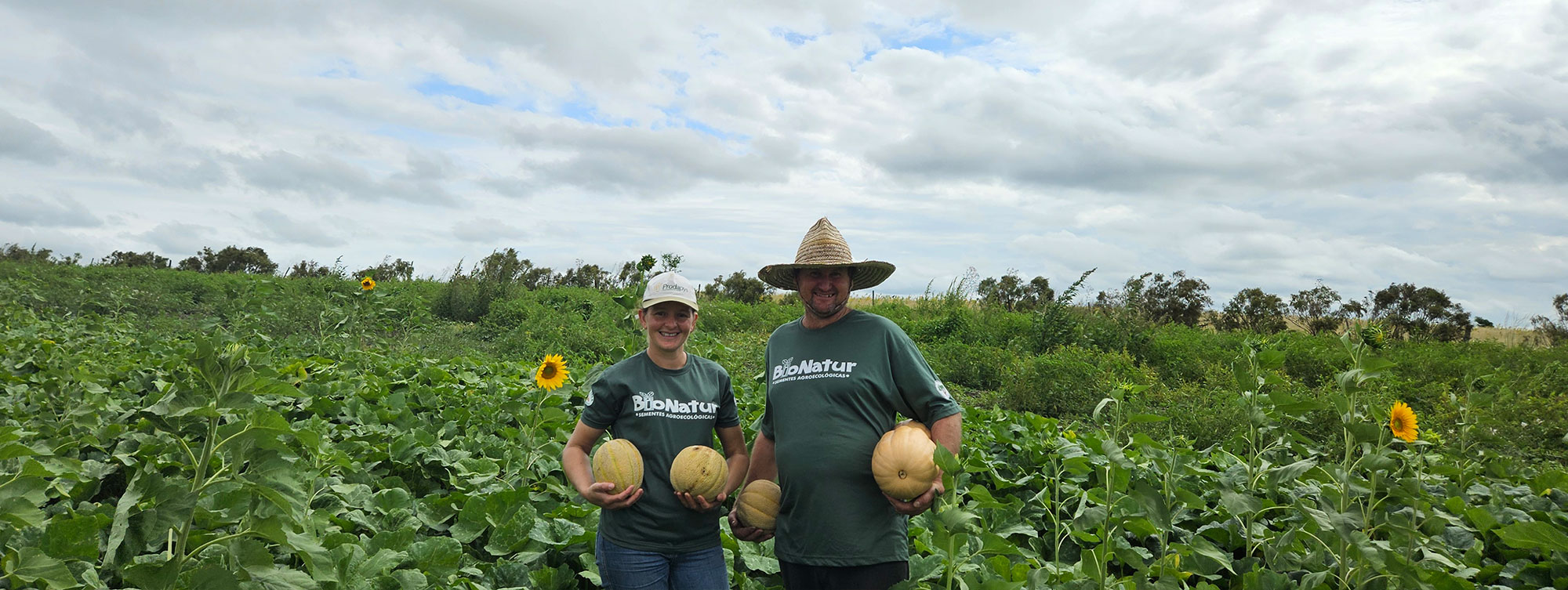 MST is the sole producer of agroecological vegetable seeds in Brazil