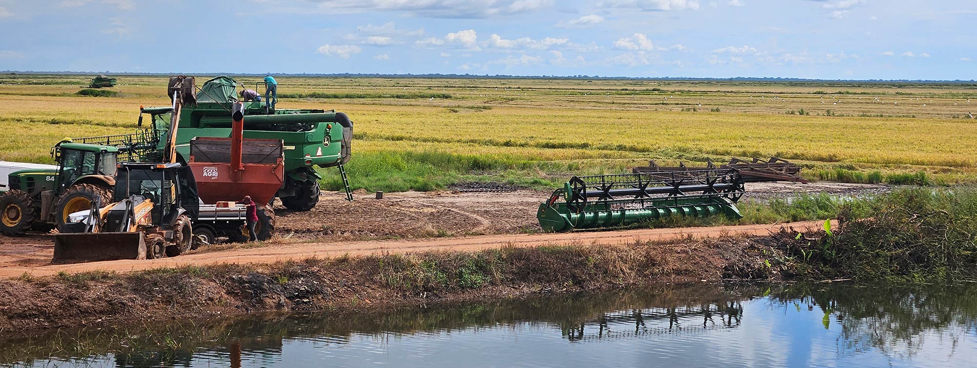 Camponeses vizinhos de projetos de irrigação sofrem com incidência de câncer no Tocantins