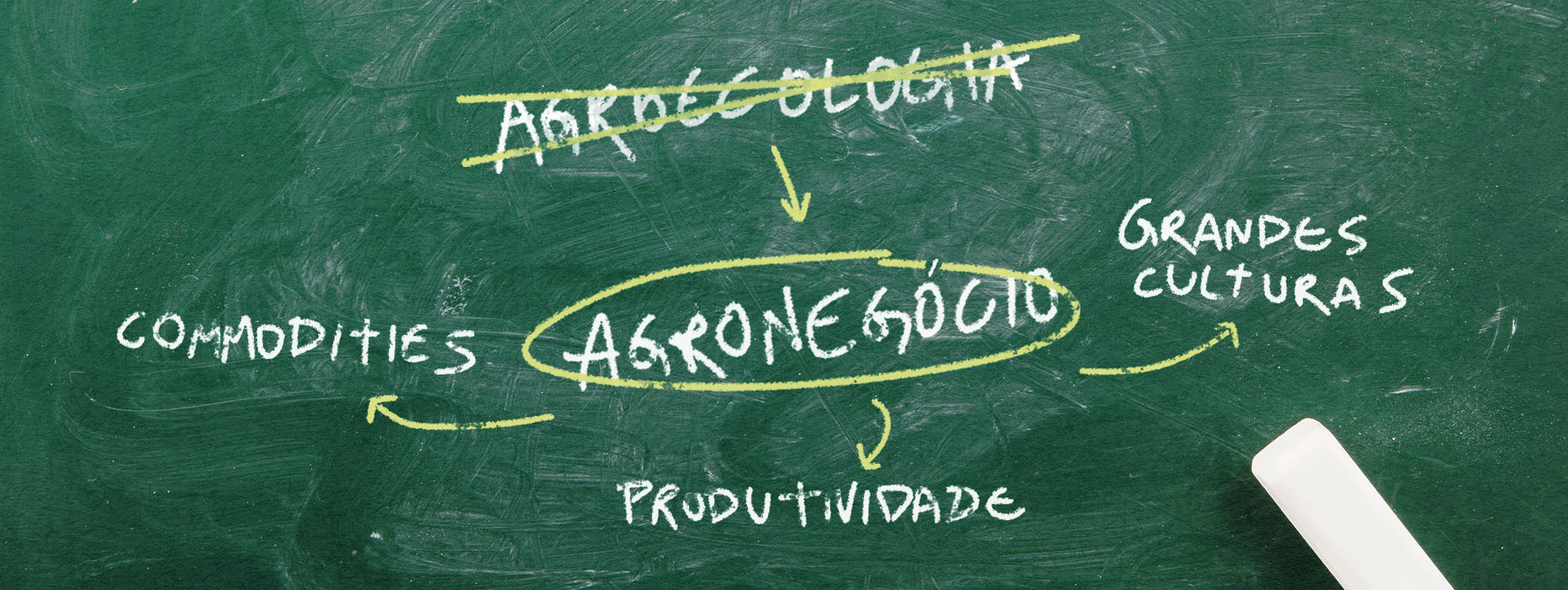 Cursos superiores de agroecologia podem sumir por falta de regulamentação da profissão de agroecólogos