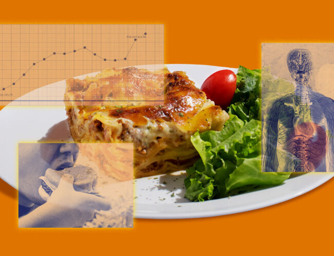 Como se produz evidência científica sobre o efeito dos ultraprocessados na saúde?