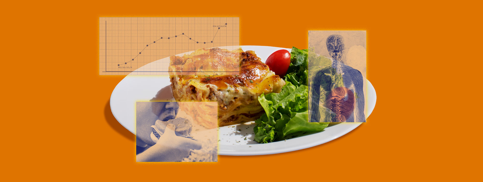 Como se produz evidência científica sobre o efeito dos ultraprocessados na saúde?