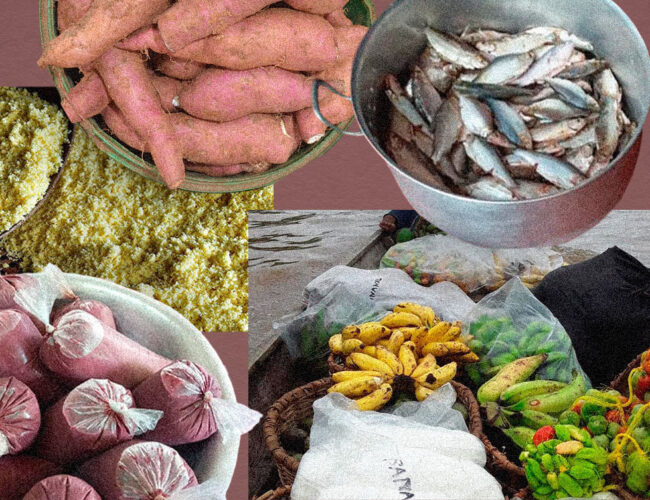 Catrapovos: a experiência que trocou ultraprocessados por alimentos locais na merenda de povos e comunidades tradicionais