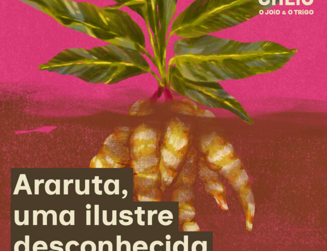 Araruta, uma ilustre desconhecida