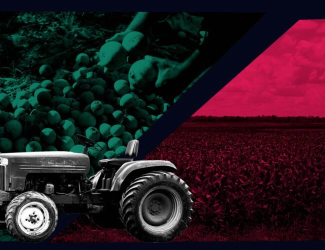Títulos do agronegócio e fundos públicos financiam plantio de soja em área de comunidade tradicional no MA