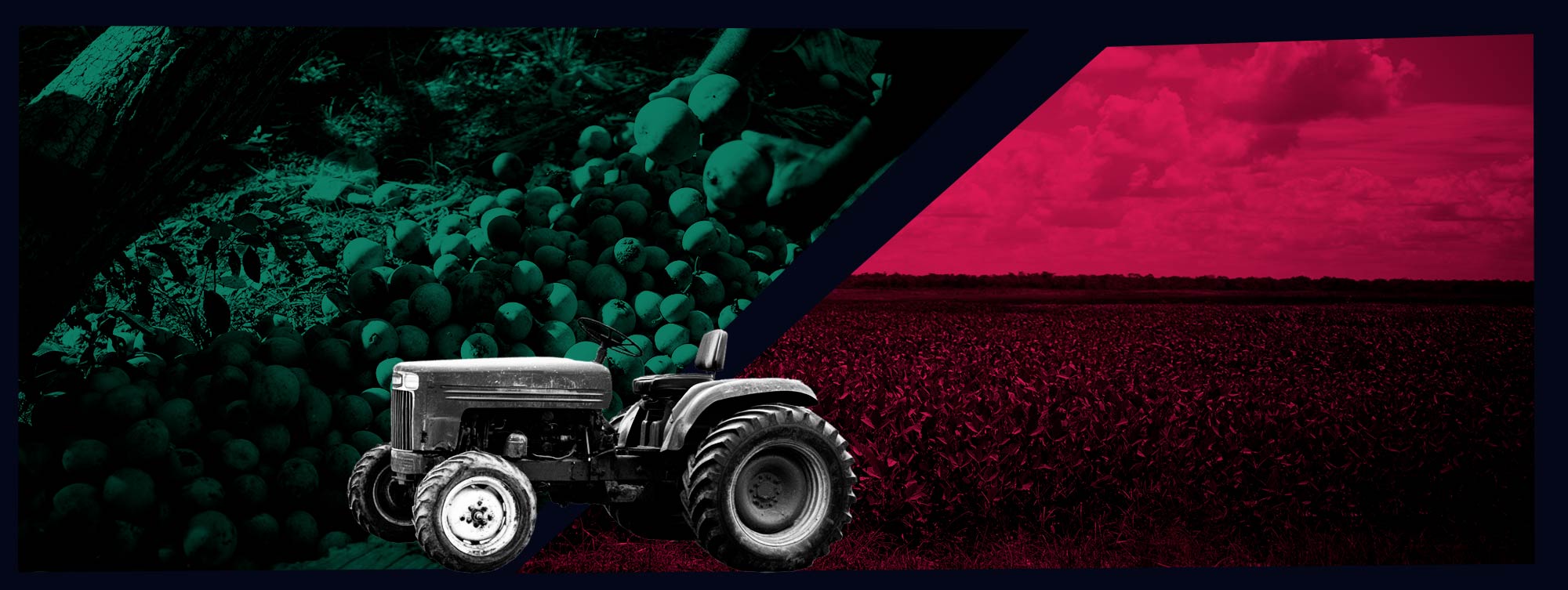 Títulos do agronegócio e fundos públicos financiam plantio de soja em área de comunidade tradicional no MA