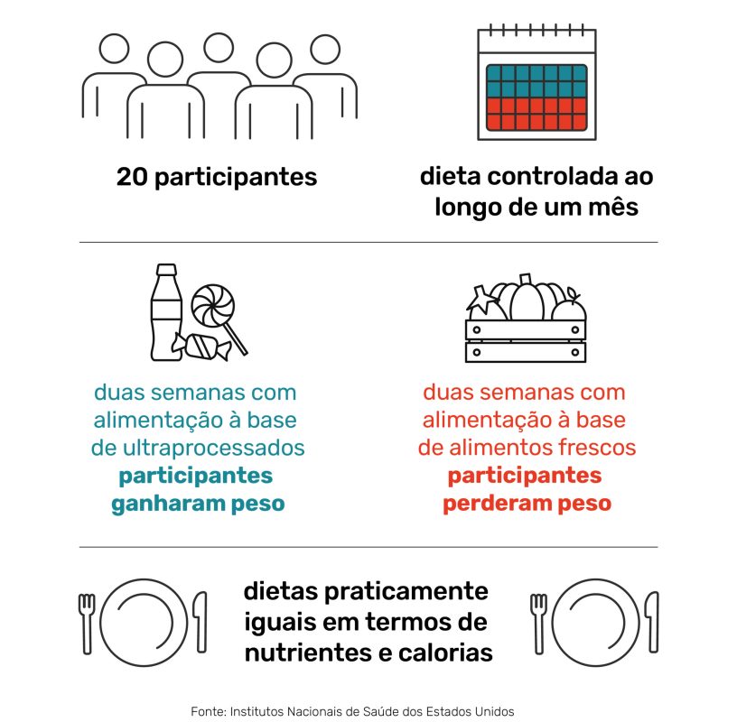infográfico_UP eleições_Prancheta 1 cópia